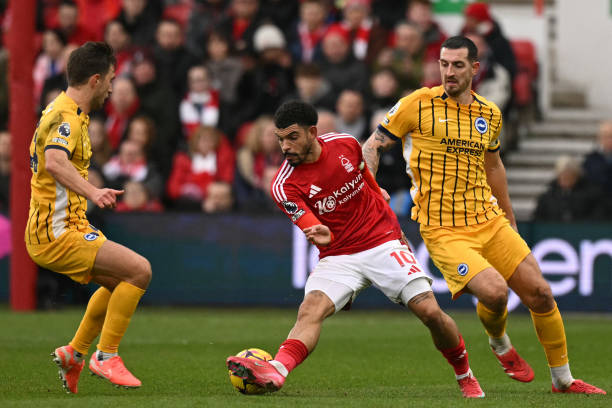 面对伤病问 面对伤病问