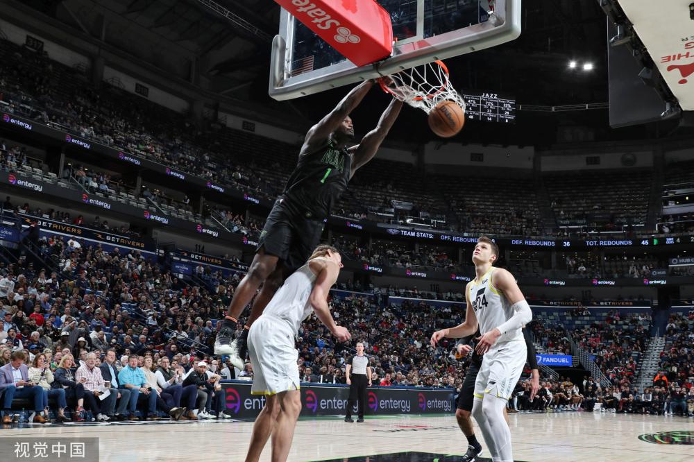 夏洛特黄蜂 夏洛特黄蜂